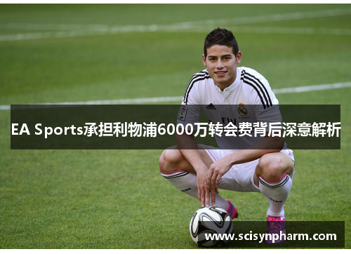 EA Sports承担利物浦6000万转会费背后深意解析