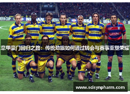 意甲豪门回归之路：传统劲旅如何通过转会与赛事重塑荣耀